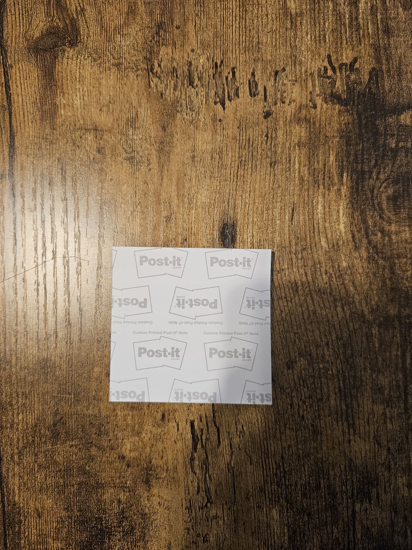 Spiders and Webs Sticky Note Pads