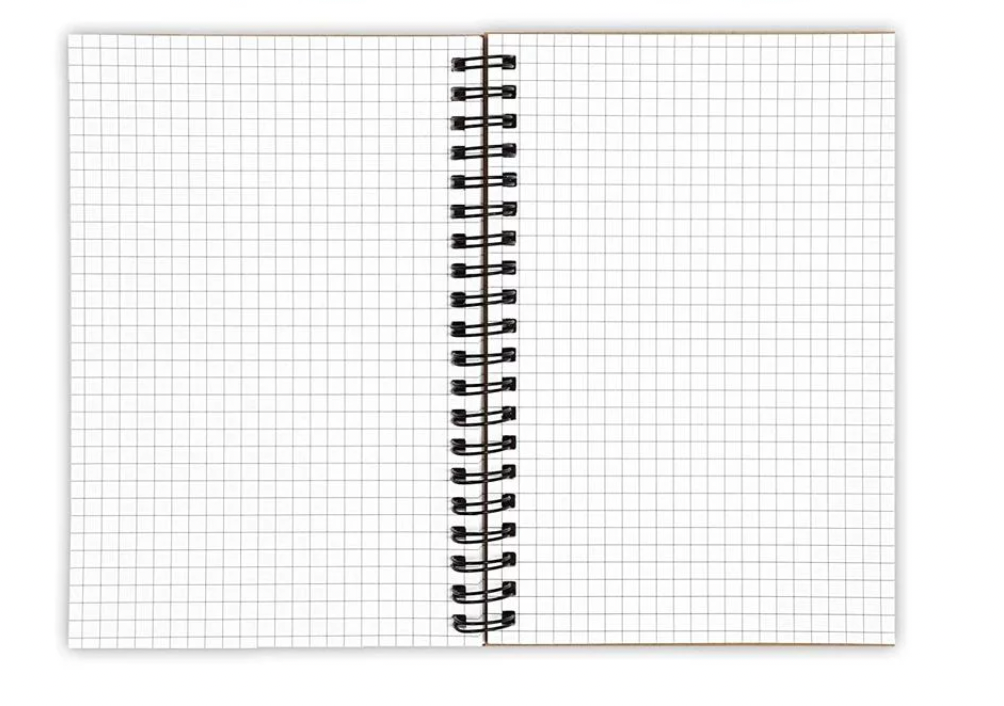 Cat in Space Spiral Notebook