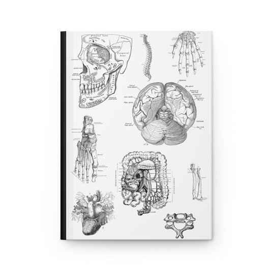 Anatomy Notebook