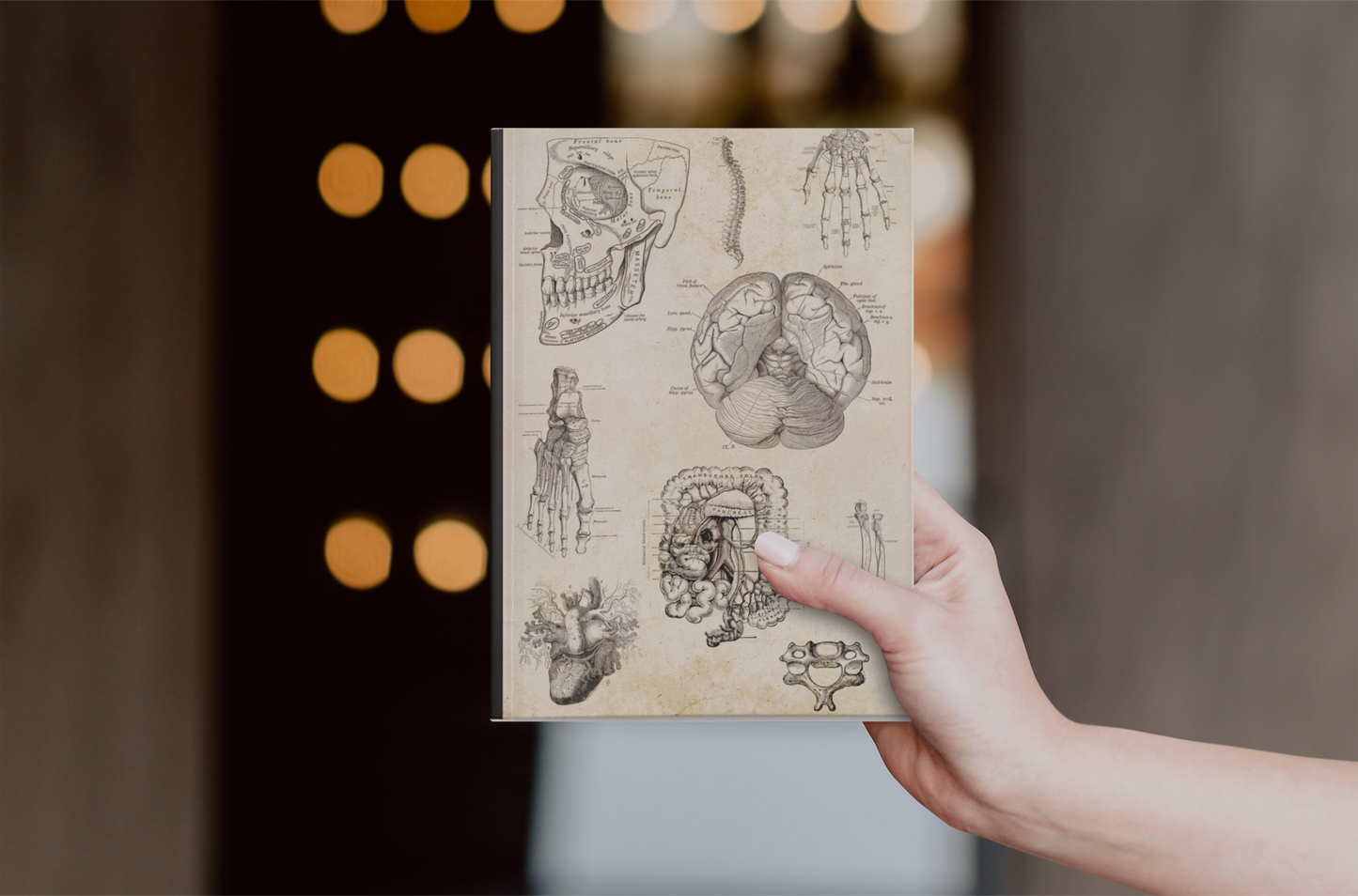 Anatomy Notebook